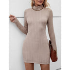 Ribbed Knit Turtleneck Open Back Mini Dress